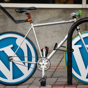 Consulting for WordPress blogs or WooCommerce