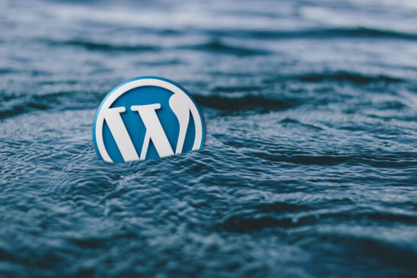 wordpress, water, logo